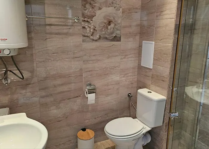 Vladan * 索佐波尔